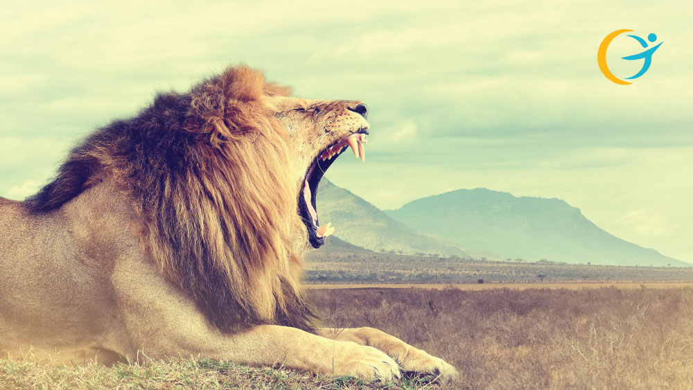 Be a LION!