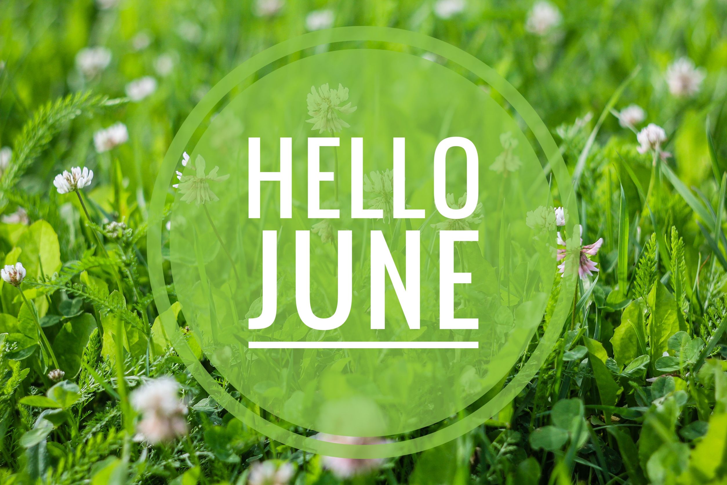June Monthly Newsletter